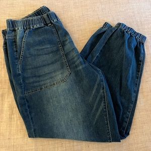 Universal Standard Comfort Denim Joggers, Western Blue Wash, 14-16.